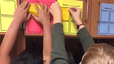 Set and Track Your Goals